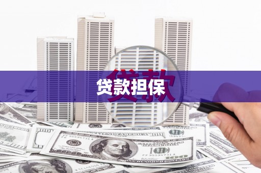 东宝贷款担保