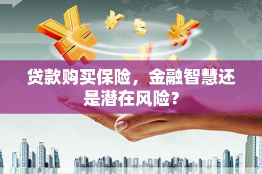 普格贷款购买保险，金融智慧还是潜在风险？