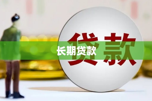 善化长期贷款