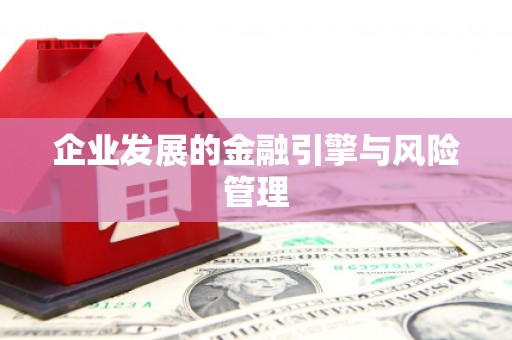 靖州企业发展的金融引擎与风险管理