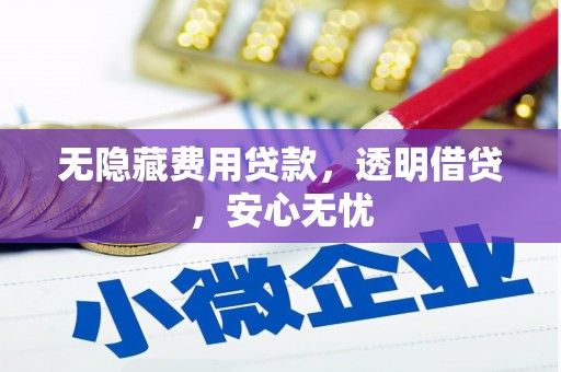 江口无隐藏费用贷款，透明借贷，安心无忧