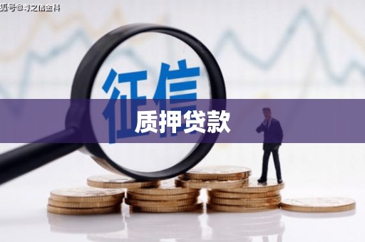 文安质押贷款