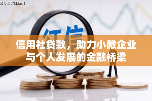 双城信用社贷款，助力小微企业与个人发展的金融桥梁