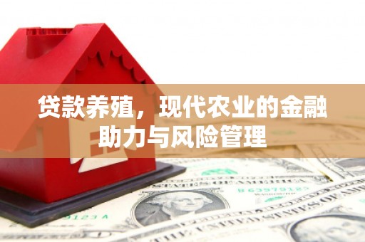 振兴贷款养殖，现代农业的金融助力与风险管理