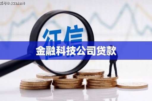 太保金融科技公司贷款