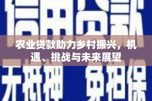 单县农业贷款助力乡村振兴，机遇、挑战与未来展望