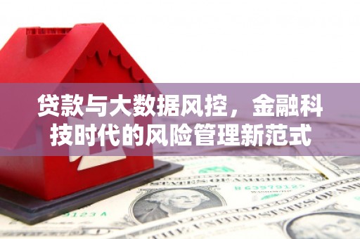 万丹贷款与大数据风控，金融科技时代的风险管理新范式