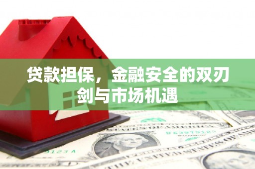 夏县贷款担保，金融安全的双刃剑与市场机遇