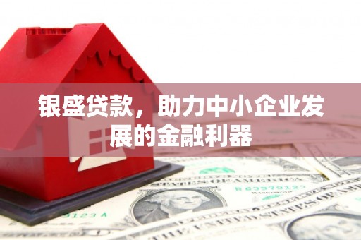 云和银盛贷款，助力中小企业发展的金融利器