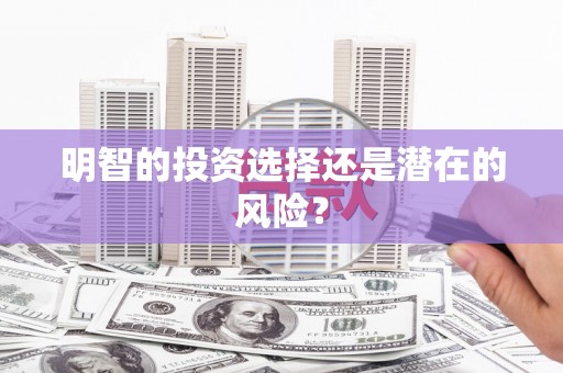 亭湖明智的投资选择还是潜在的风险？