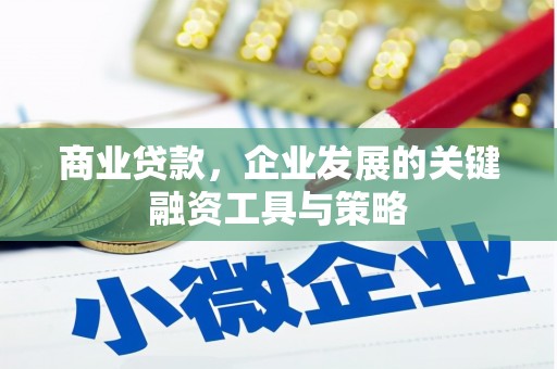 鄂伦春商业贷款，企业发展的关键融资工具与策略