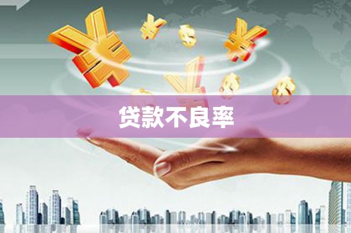 临沭贷款不良率