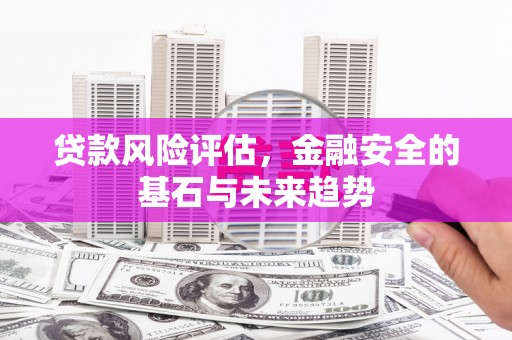 甘谷贷款风险评估，金融安全的基石与未来趋势