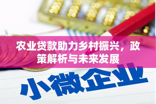 厦门农业贷款助力乡村振兴，政策解析与未来发展
