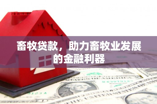 大武畜牧贷款，助力畜牧业发展的金融利器