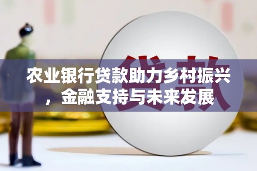 开平农业银行贷款助力乡村振兴，金融支持与未来发展