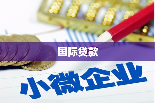 金阳国际贷款