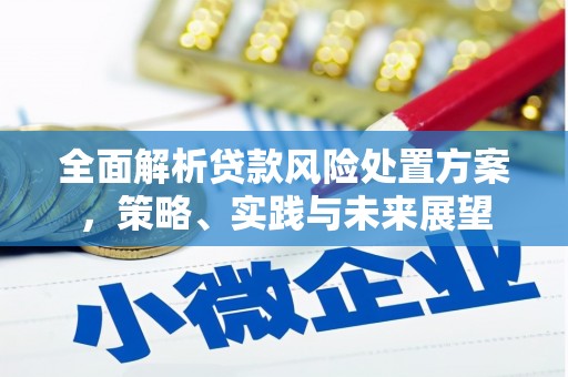 南充全面解析贷款风险处置方案，策略、实践与未来展望