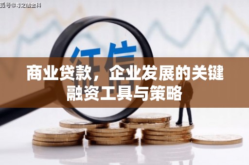 太白商业贷款，企业发展的关键融资工具与策略