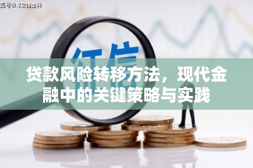 汉川贷款风险转移方法，现代金融中的关键策略与实践