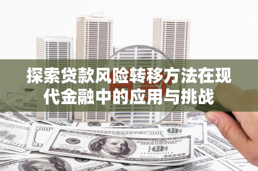林园探索贷款风险转移方法在现代金融中的应用与挑战