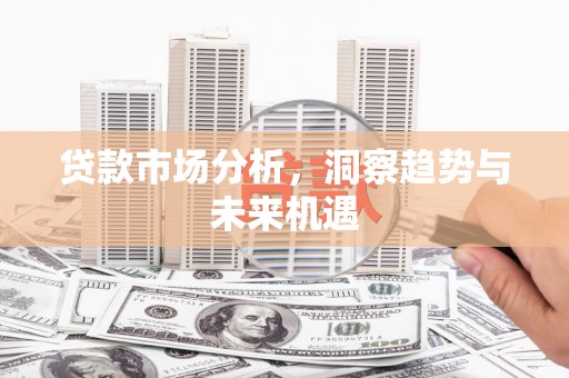 武川贷款市场分析，洞察趋势与未来机遇
