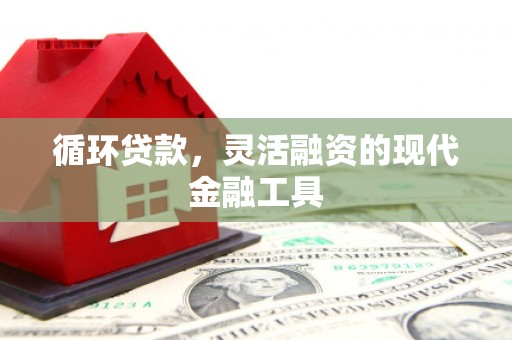 浦江循环贷款，灵活融资的现代金融工具