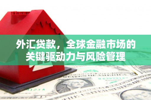 哈尔滨外汇贷款，全球金融市场的关键驱动力与风险管理