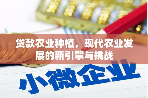 浮梁贷款农业种植，现代农业发展的新引擎与挑战