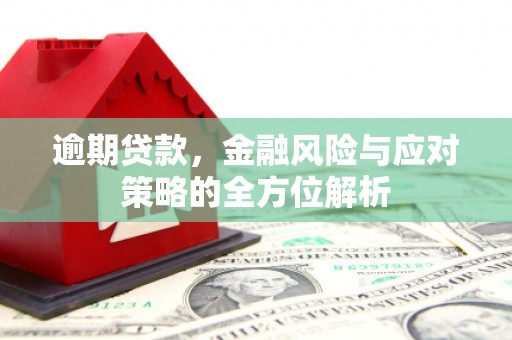 乐亭逾期贷款，金融风险与应对策略的全方位解析