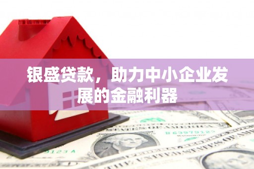 芬园银盛贷款，助力中小企业发展的金融利器