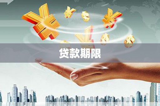 芬园贷款期限