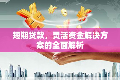 府谷短期贷款，灵活资金解决方案的全面解析
