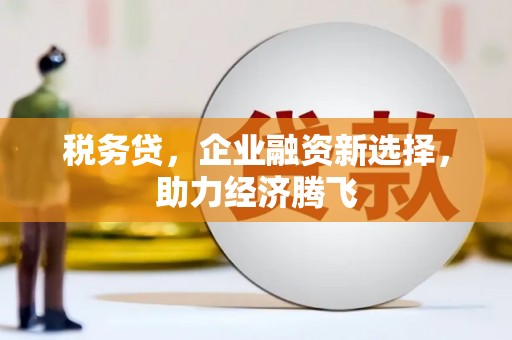 容县税务贷，企业融资新选择，助力经济腾飞