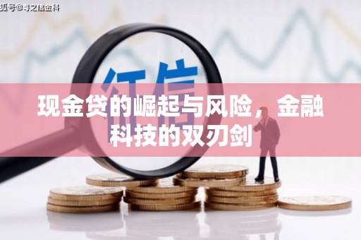 平舆现金贷的崛起与风险，金融科技的双刃剑