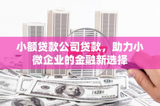 房县小额贷款公司贷款，助力小微企业的金融新选择