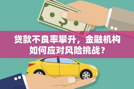 南开贷款不良率攀升，金融机构如何应对风险挑战？