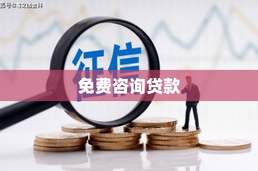 芦淞免费咨询贷款