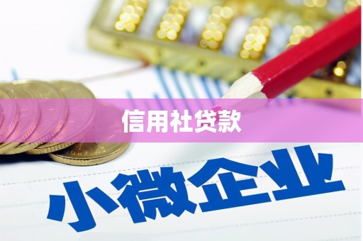 开县信用社贷款