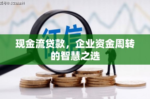 巴塘现金流贷款，企业资金周转的智慧之选