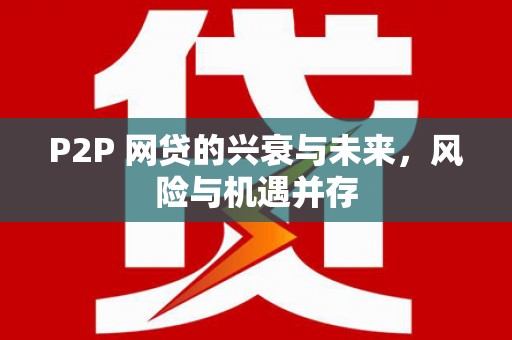 江海P2P 网贷的兴衰与未来，风险与机遇并存