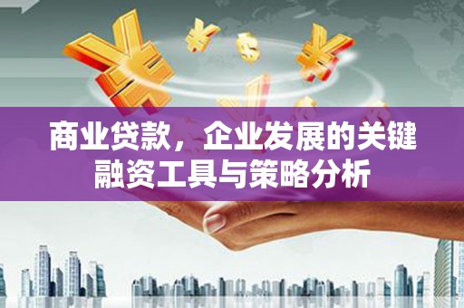 芦淞商业贷款，企业发展的关键融资工具与策略分析