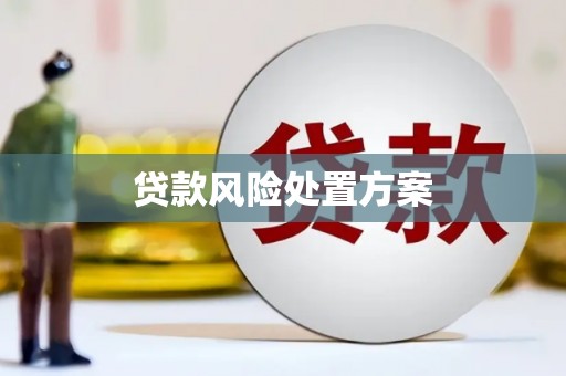 平度贷款风险处置方案