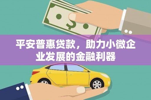 大观平安普惠贷款，助力小微企业发展的金融利器