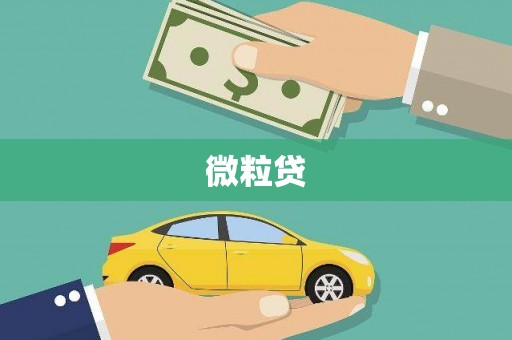 昭苏微粒贷