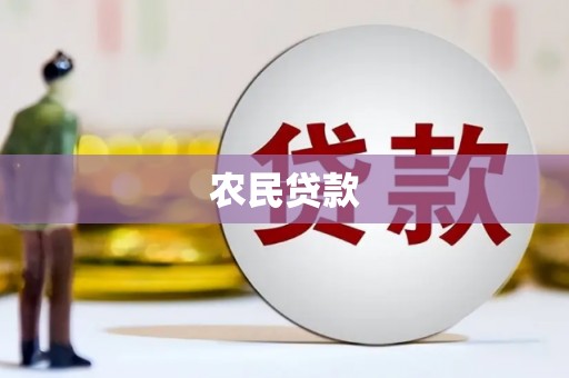 沧县农民贷款