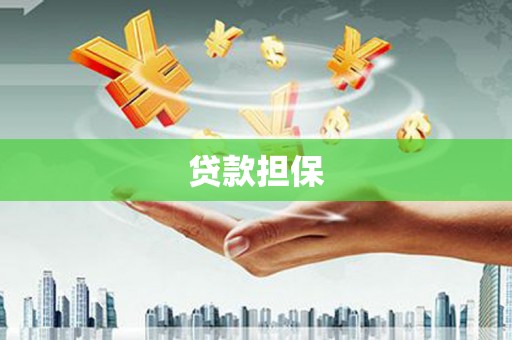 清河贷款担保