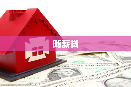 延津随薪贷