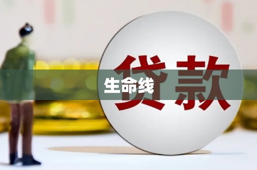 贵定生命线