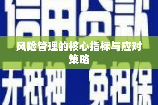 芦山风险管理的核心指标与应对策略